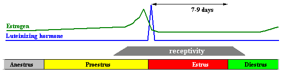 Canine ovulation testing
