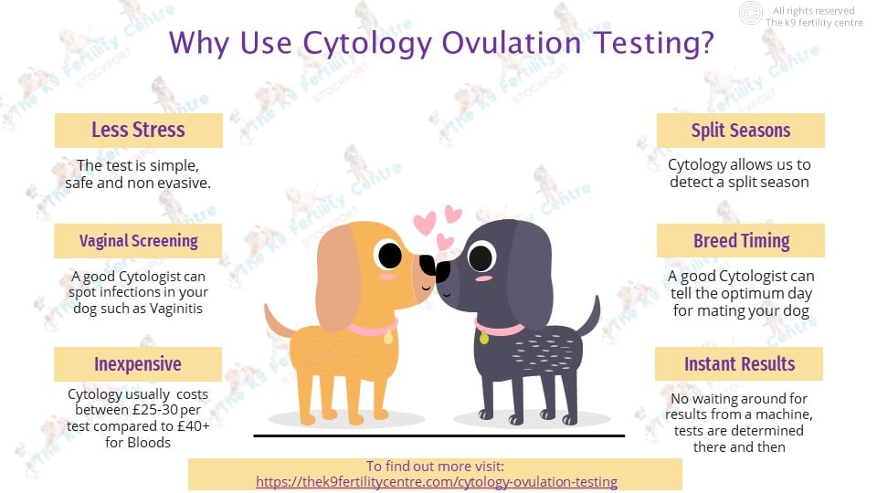 K9 cytology testing